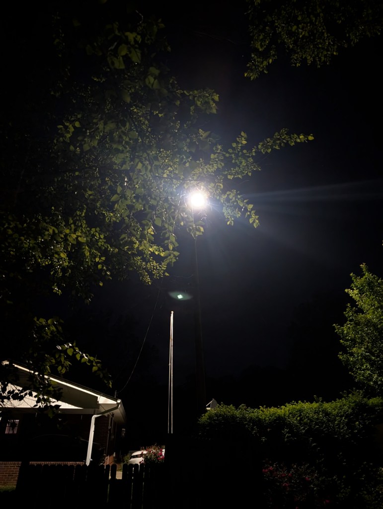 A light shining through the trees in a yard that is dark.
